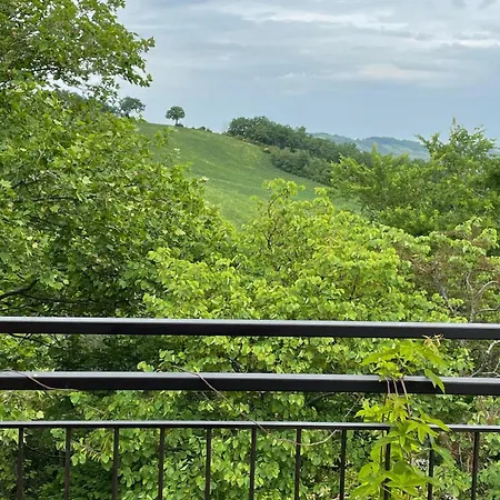 Bellavista *